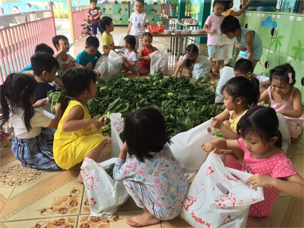 Bé trải nghiệm thực tế tại vườn rau